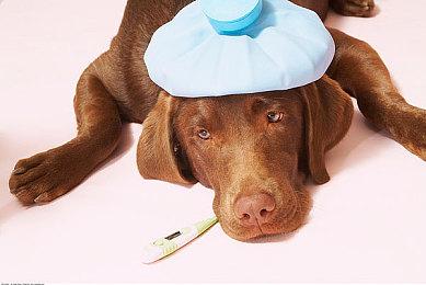 建造游戏《克鲁苏信徒》Demo上线 支持简繁体中文